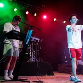 Concerts del Pinar