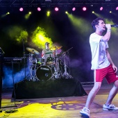 Concerts del Pinar
