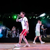 Concerts del Pinar
