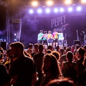 Concerts del Pinar
