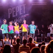 Concerts del Pinar
