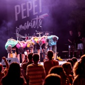 Concerts del Pinar