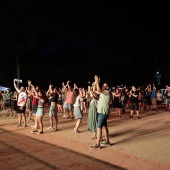 Concerts del Pinar