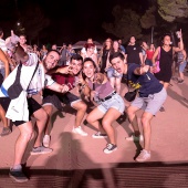 Concerts del Pinar