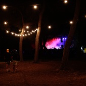 Concerts del Pinar