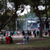 Concerts del Pinar