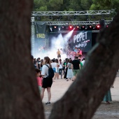 Concerts del Pinar