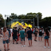 Concerts del Pinar