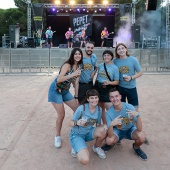 Concerts del Pinar