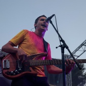 Concerts del Pinar