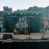 Concerts del Pinar