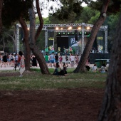 Concerts del Pinar