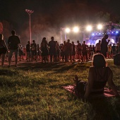 Concerts del Pinar