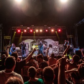 Concerts del Pinar
