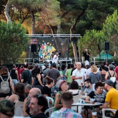 Concerts del Pinar