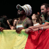 Benicàssim, Rototom Sunsplash 22