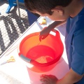 Reciplanet 2011