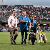 CD Castellón - CE Sabadel