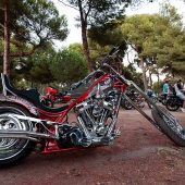 Concentración Harley Davidson