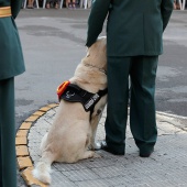 Guardia Civil