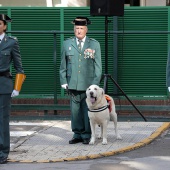 Guardia Civil