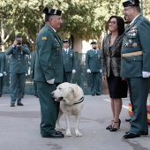 Guardia Civil