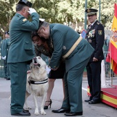 Guardia Civil