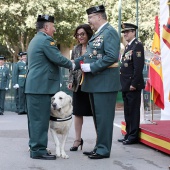 Guardia Civil