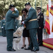 Guardia Civil