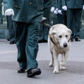 Guardia Civil