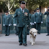 Guardia Civil