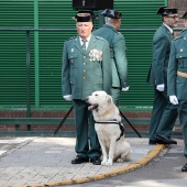 Guardia Civil