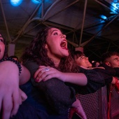 Festival del Bicentenario