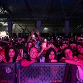 Festival del Bicentenario