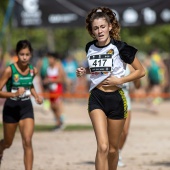 43º Cross de Castelló