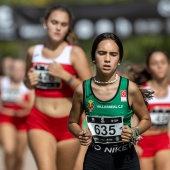 43º Cross de Castelló