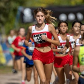 43º Cross de Castelló