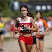 43º Cross de Castelló