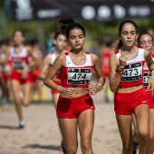 43º Cross de Castelló