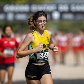 43º Cross de Castelló