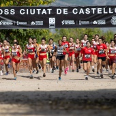 43º Cross de Castelló