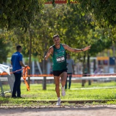 43º Cross de Castelló