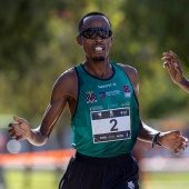 43º Cross de Castelló