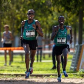 43º Cross de Castelló