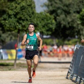 43º Cross de Castelló