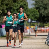 43º Cross de Castelló