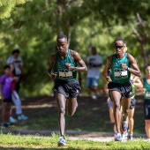 43º Cross de Castelló