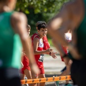 43º Cross de Castelló