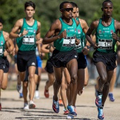 43º Cross de Castelló