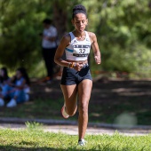 43º Cross de Castelló